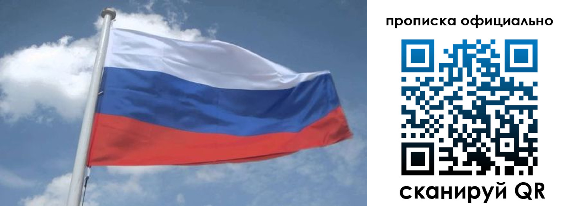 прописка для школы в Кольчугино